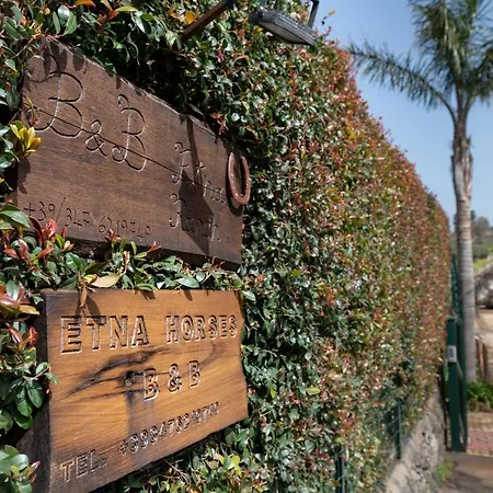 Etna Ranch *